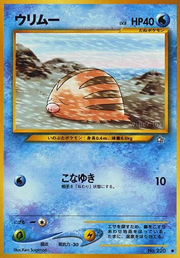 Marcacrin